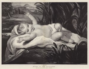 Moses i Bulrushes